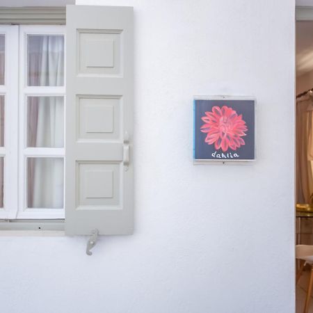 Sing And Blossom Accommodation Mykonos Town Εξωτερικό φωτογραφία