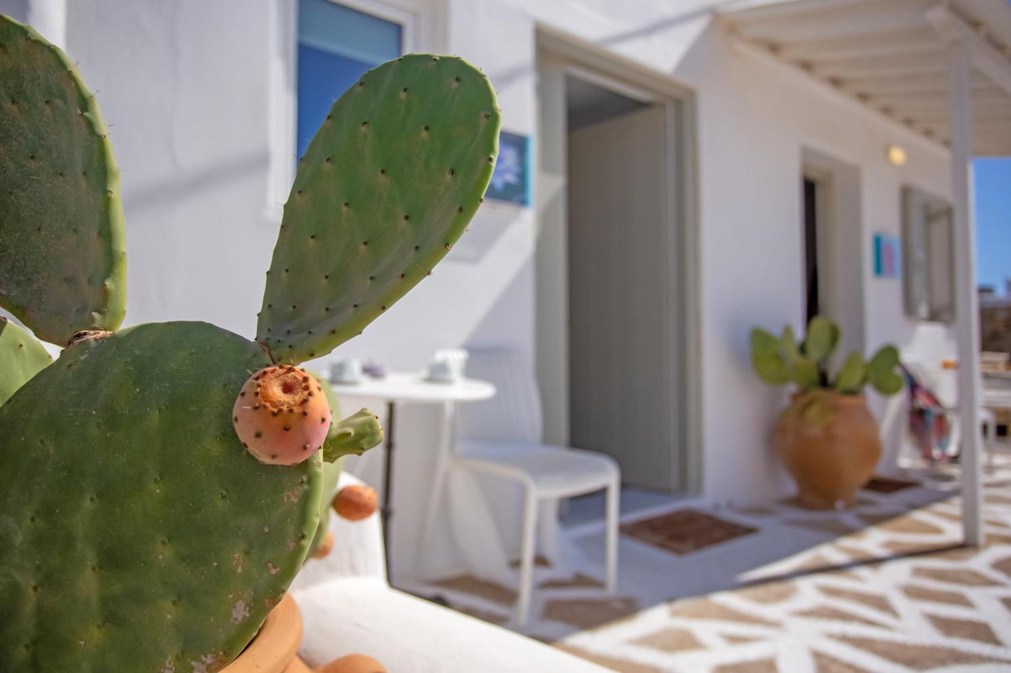 Sing And Blossom Accommodation Mykonos Town Εξωτερικό φωτογραφία